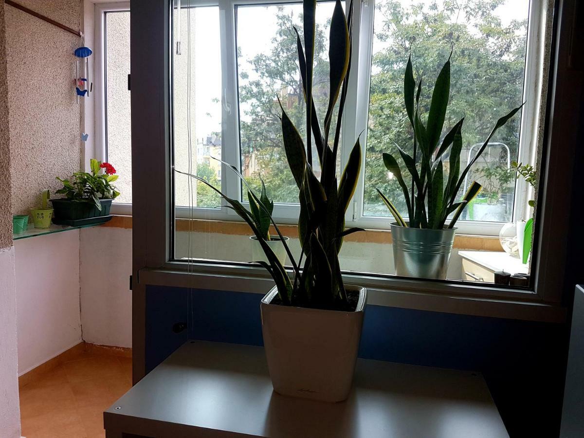 Blue Room Σόφια Εξωτερικό φωτογραφία